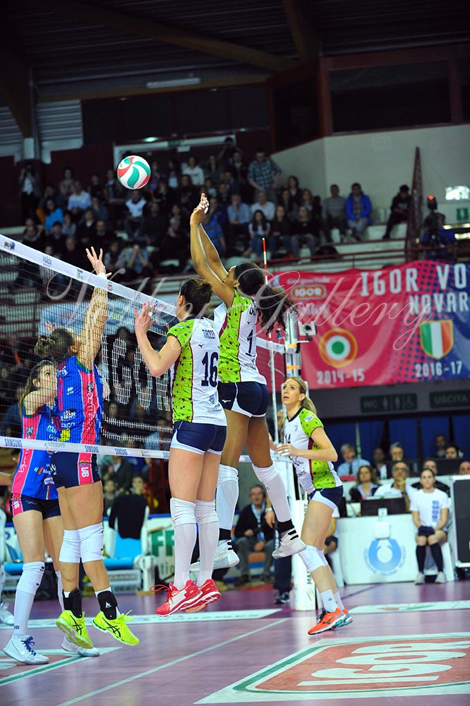 Igor NO-Il Bisonte FI (19)